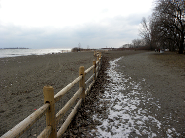 Toronto Dog Walkers, Hogtown Dogtown